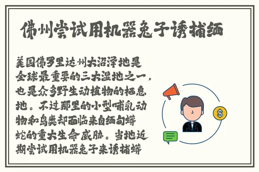 忘忧草在线看片www